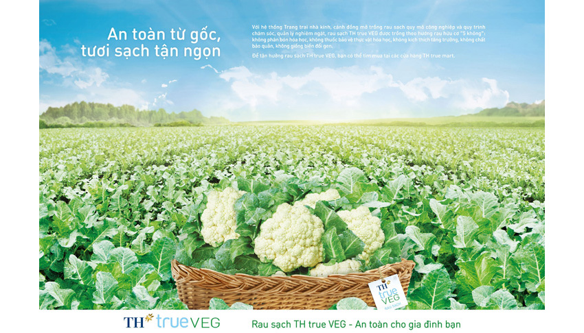 Rau sạch FVF
